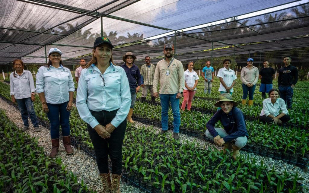<strong>Grupo San Simón busca certificación internacional de sostenibilidad</strong>