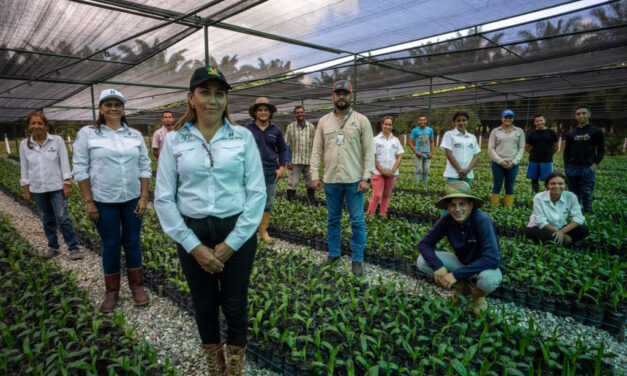 <strong>Grupo San Simón busca certificación internacional de sostenibilidad</strong>