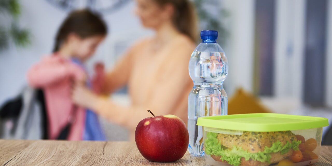 Programa La Lonchera de mi Hijo de la SAV promueve la salud alimentaria