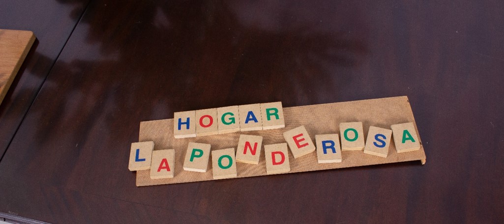Juegos de mesa estimulan mentalmente al Adulto Mayor Dependiente