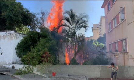En Venezuela debemos reforzar la cultura de prevención de incendios