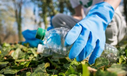 Proyecto Natulac en Verde de Industrias Maros ayuda a preservar el medio ambiente