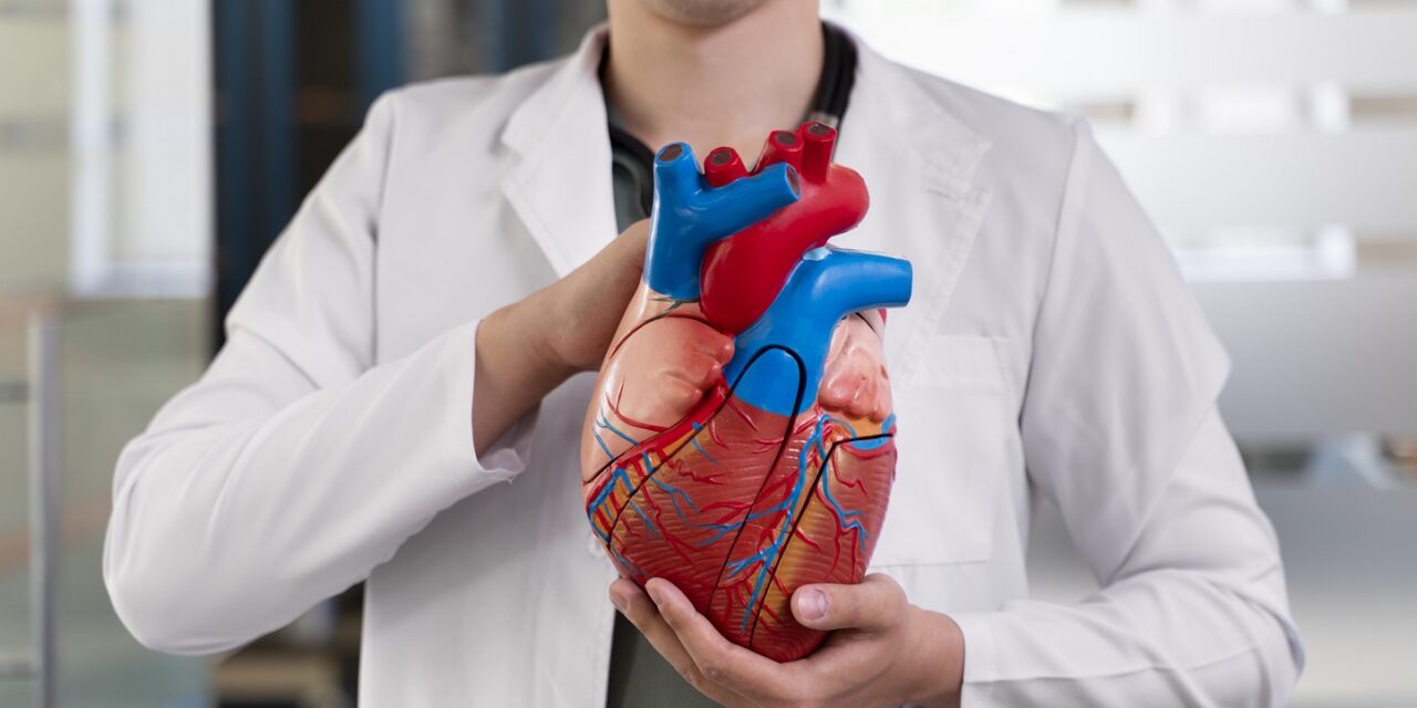 Una visita anual al cardiólogo contribuye a cuidar el corazón