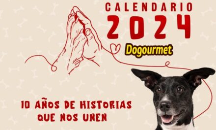 Dogourmet comienza la etapa de postulaciones para la décima edición de su calendario canino