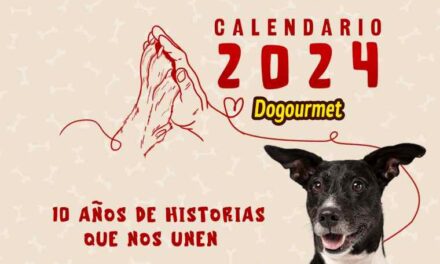 Con récord de más de 10.000 peluditos, Dogourmet cerró fase de postulaciones para la décima edición de su calendario canino