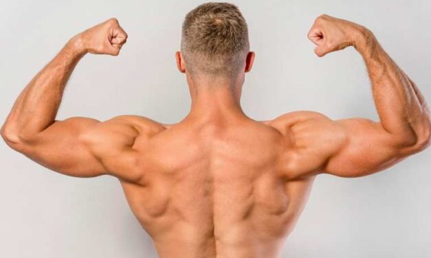 Crecimiento muscular requiere agua, nutrientes y ejercicio
