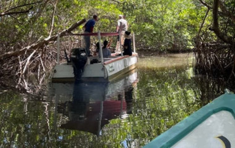 Adéntrate en la historia de TARBAY: descubre su nuevo Blog “Margarita Bonita”