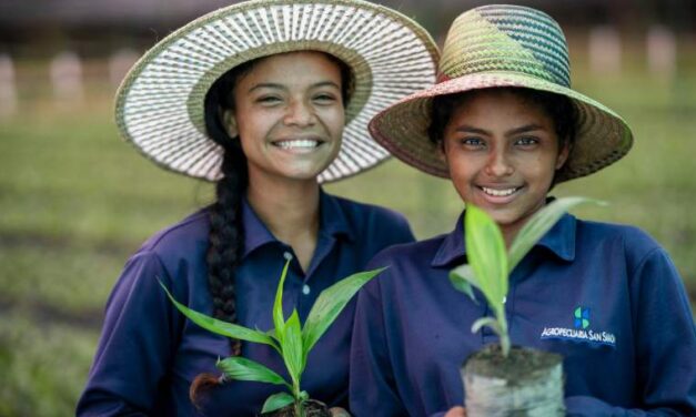 Grupo San Simón recibe distinción por parte de Nestlé Venezuela