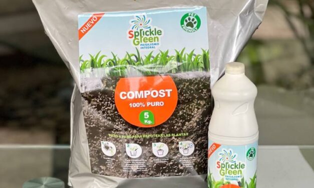 Sprickle Green impacta positivamente en los hogares caraqueños