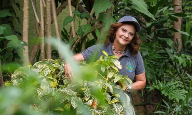 Luisa Lara: Una paisajista que diseña espacios amables “Disfruto enseñándole a la gente lo maravilloso que es el convivir con la naturaleza en su casa u oficina, sin sacrificar la modernidad”