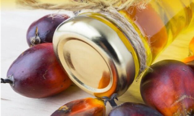 Grupo San Simón dice sí a la producción sostenible de aceite de palma