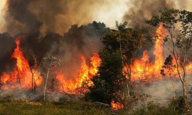 Riesgo para la salud: incendios forestales