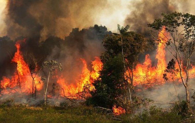 Riesgo para la salud: incendios forestales