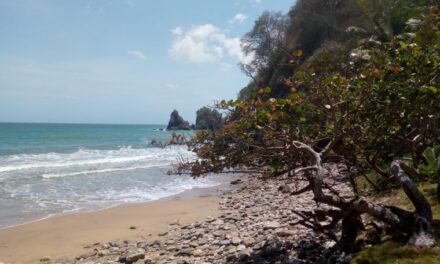LA “EXPERIENCIA PARIA”, SE APODERA DEL TURISMO EN VENEZUELA