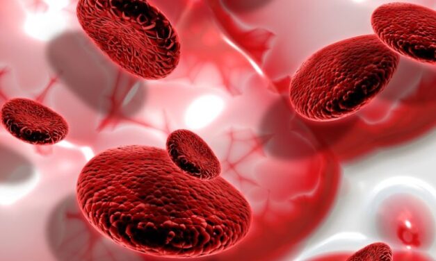 Cada 27 de segundos una persona es diagnosticada con cáncer de sangre