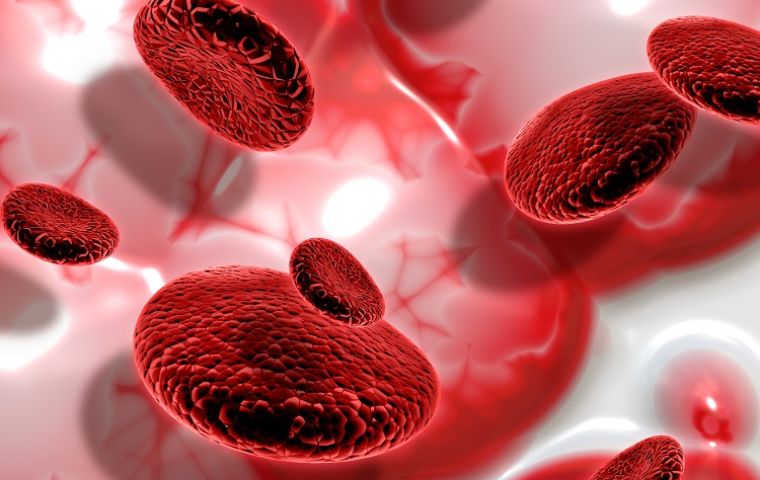 Cada 27 de segundos una persona es diagnosticada con cáncer de sangre