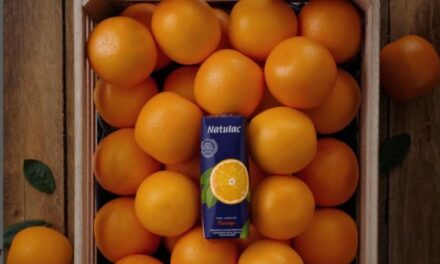 Jugo de naranja en ayunas: Un aliado para tu digestión