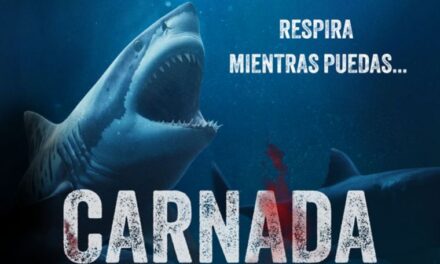 “Carnada”: Cinco náufragas, un conflicto y un tiburón