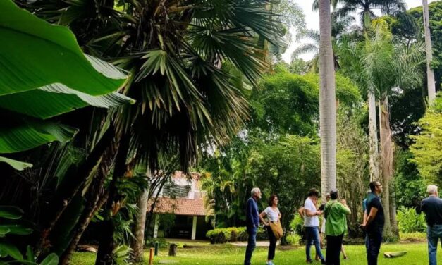 Conciencia ambiental a través de la Asociación Civil Avepalmas