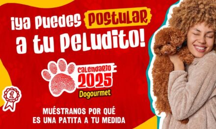El Calendario Dogourmet 2025 busca patitas a la medida