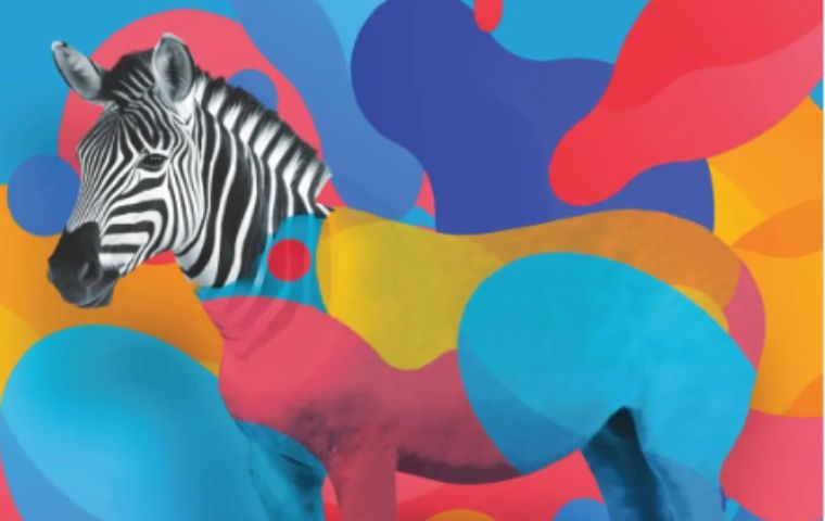 Vive la experiencia del color con la Cabina Inmersiva Cromática