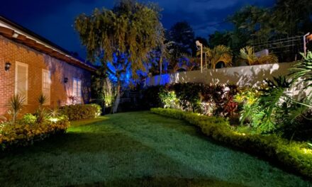 Ilumina tu hogar para la mejor época del año con el servicio personalizado de Sprickle Green