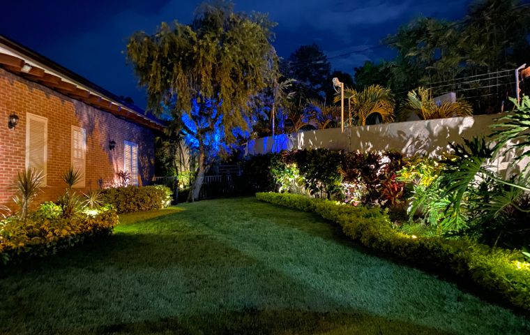 Ilumina tu hogar para la mejor época del año con el servicio personalizado de Sprickle Green