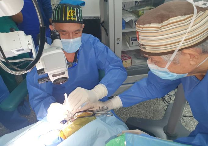 Implantes cocleares: Soluciones auditivas para pacientes que no pueden escuchar con una prótesis convencional