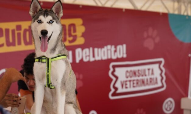 Más de 300 peluditos asistieron a los castings del Calendario Dogourmet 2025