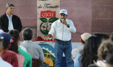 Siembra Esperanza, ISOLA FOODS, OSOLE y El DVC certificaron a más de 360 agricultores de tomate en el estado Mérida
