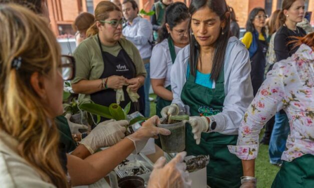 Las Phalaenopsis florecieron como protagonistas en un taller donde el alma se conectó con la naturaleza gracias a Sprickle Green