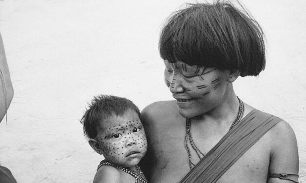  La Fundación Miragua y la Colección C&FE presentan «Memoria de la selva». Tallas y tejidos de la Amazonia venezolana