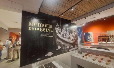 Bodegas Pomar celebra el arte y la identidad venezolana en la exposición “Memoria de la selva”