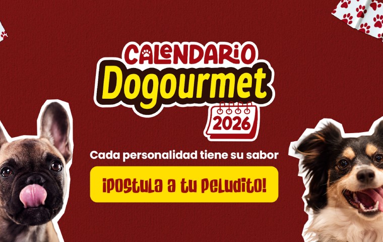 En el Calendario Dogourmet 2026 cada personalidad de los peluditos tiene un sabor