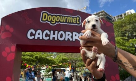 Caracas celebró el Calendario Dogourmet 2026