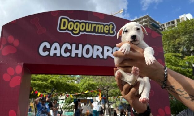 Caracas celebró el Calendario Dogourmet 2026