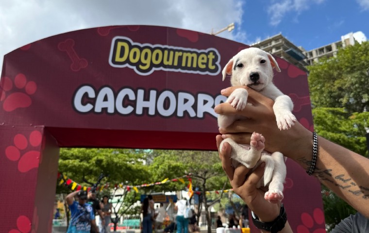 Caracas celebró el Calendario Dogourmet 2026