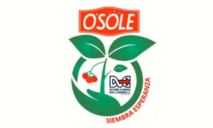Siembra Esperanza, ISOLA FOODS, OSOLE y El DVC certificarán agricultores de tomate en el estado Anzoátegui