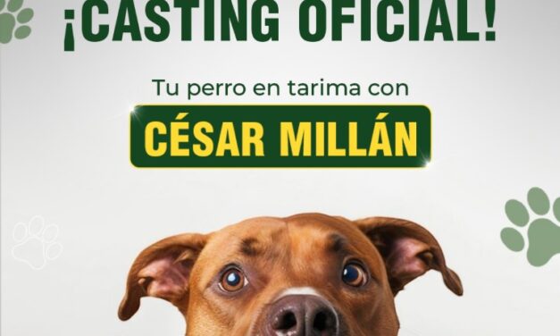 Expo Mascotas 2026: ¡Cesar Millán abre Casting Oficial!