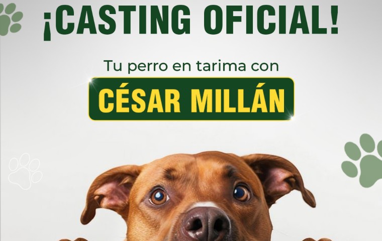 Expo Mascotas 2026: ¡Cesar Millán abre Casting Oficial!