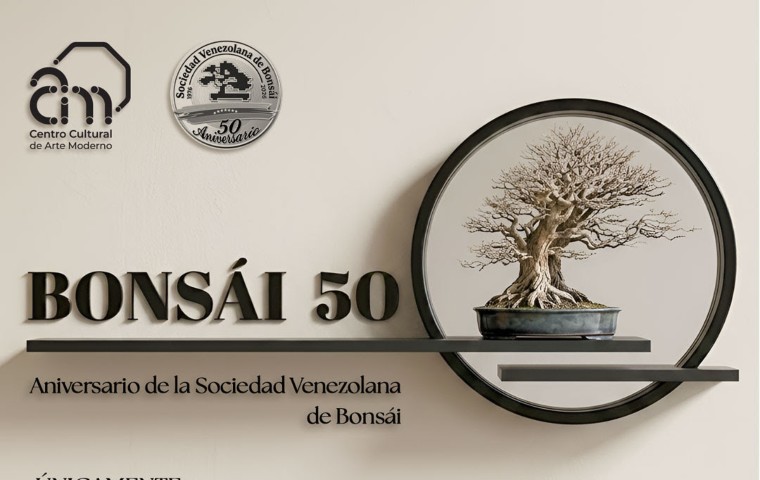 BONSÁI 50: Arte ancestraly vanguardia tecnológica se conjugan en el CCAM