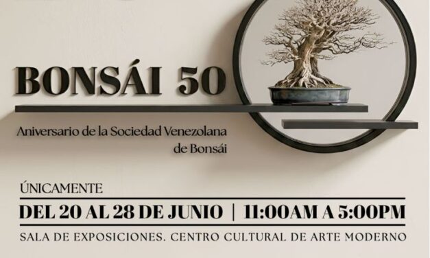 BONSÁI 50: Arte ancestral y vanguardia tecnológica se conjugan en el CCAM