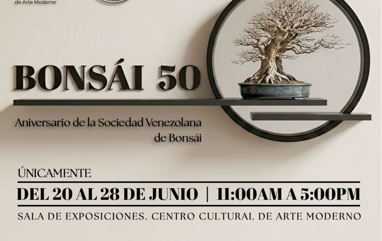 BONSÁI 50: Arte ancestral y vanguardia tecnológica se conjugan en el CCAM