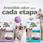 El irresistible sabor de Oh Mai Gat acompaña a tu gato en cada etapa
