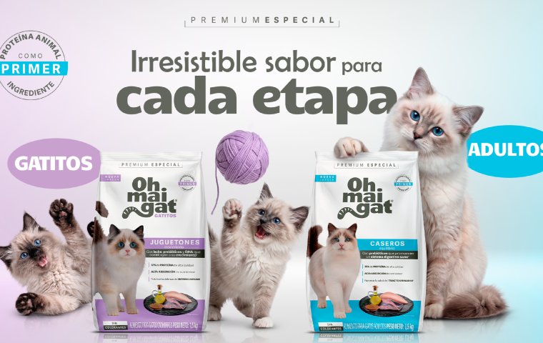 El irresistible sabor de Oh Mai Gat acompaña a tu gato en cada etapa
