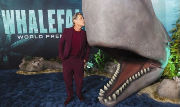 La caída de la ballena, el épico thriller de supervivencia ya estreno en cines de toda Venezuela